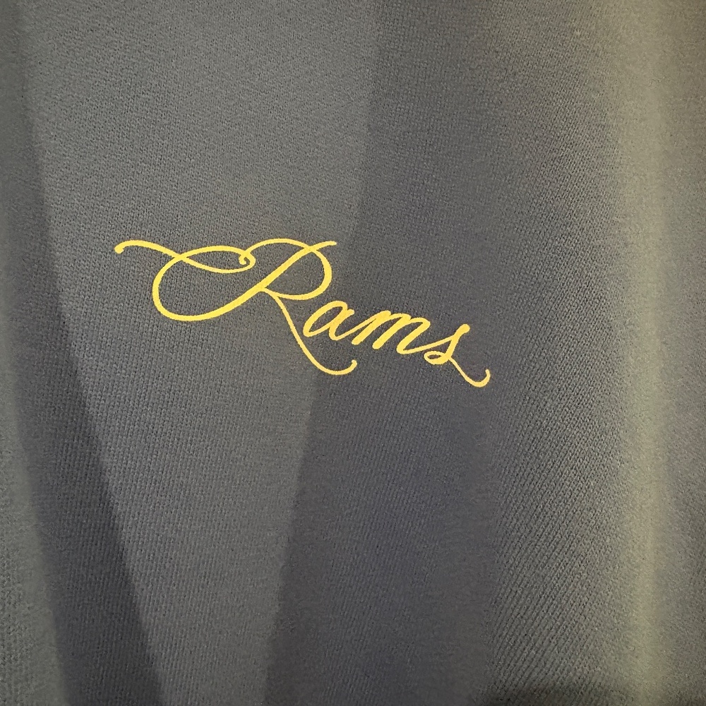 Unisex Los Angeles Rams Born x Raised Royal Fine Line Hoodie - Picture 5 of 9